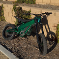 PRE ORDER 3x frame guards