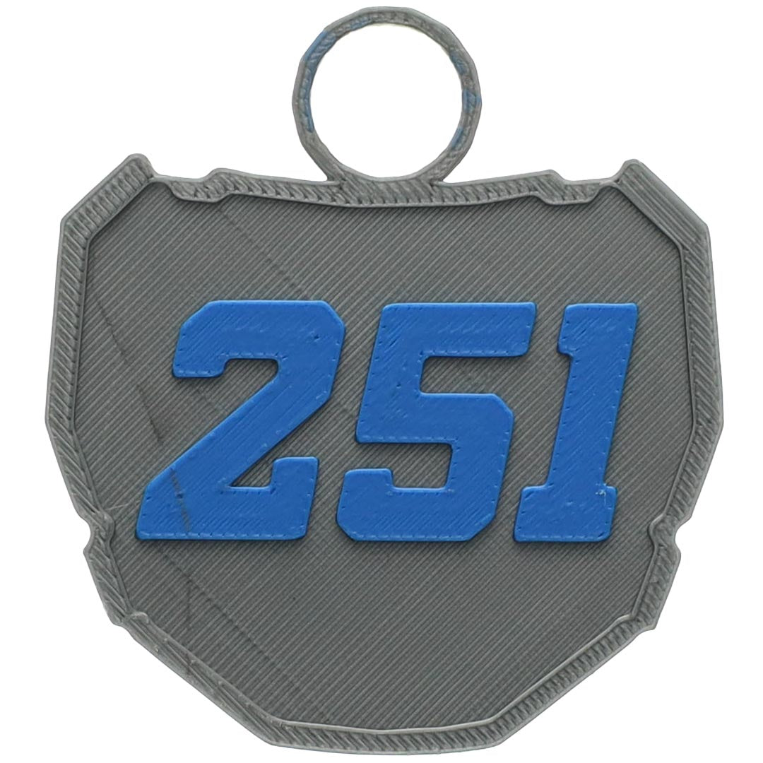 Custom Mini Odi Plate Keychain