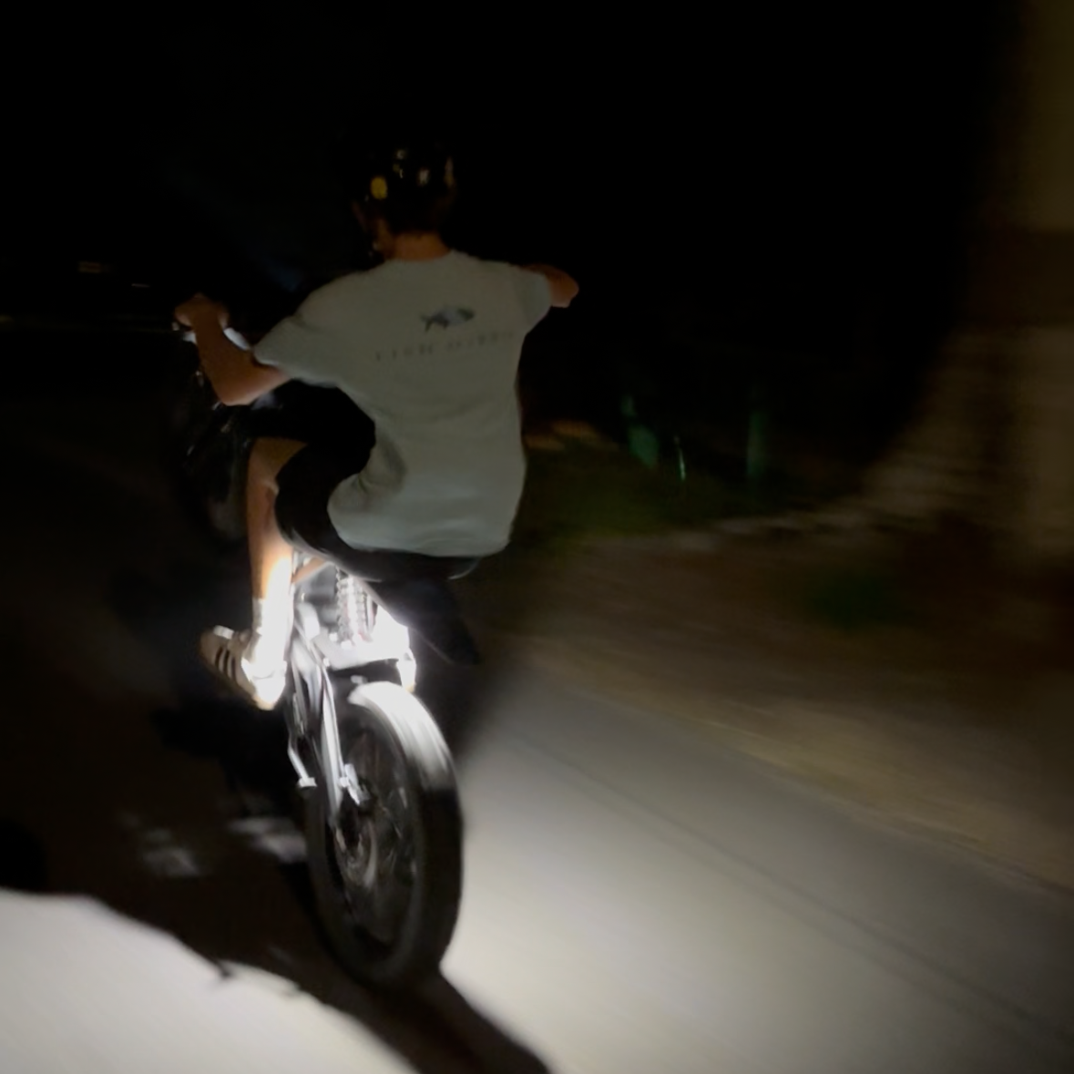E Ride Pro SR Plug-and-Play Rock Light
