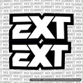 EXT fork tube decal color option